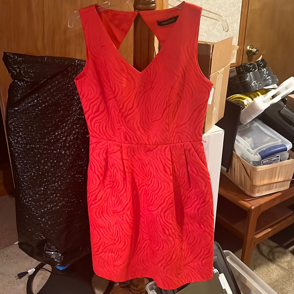 Ellen Tracy dress
